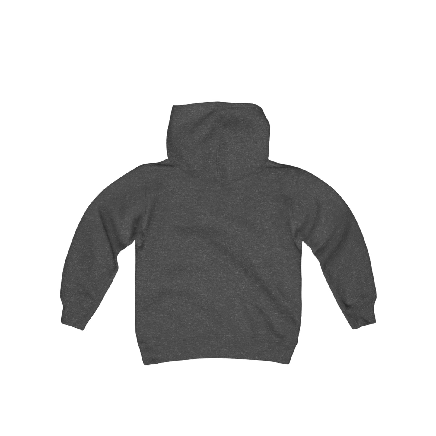 Youth Hooded Sweatshirt